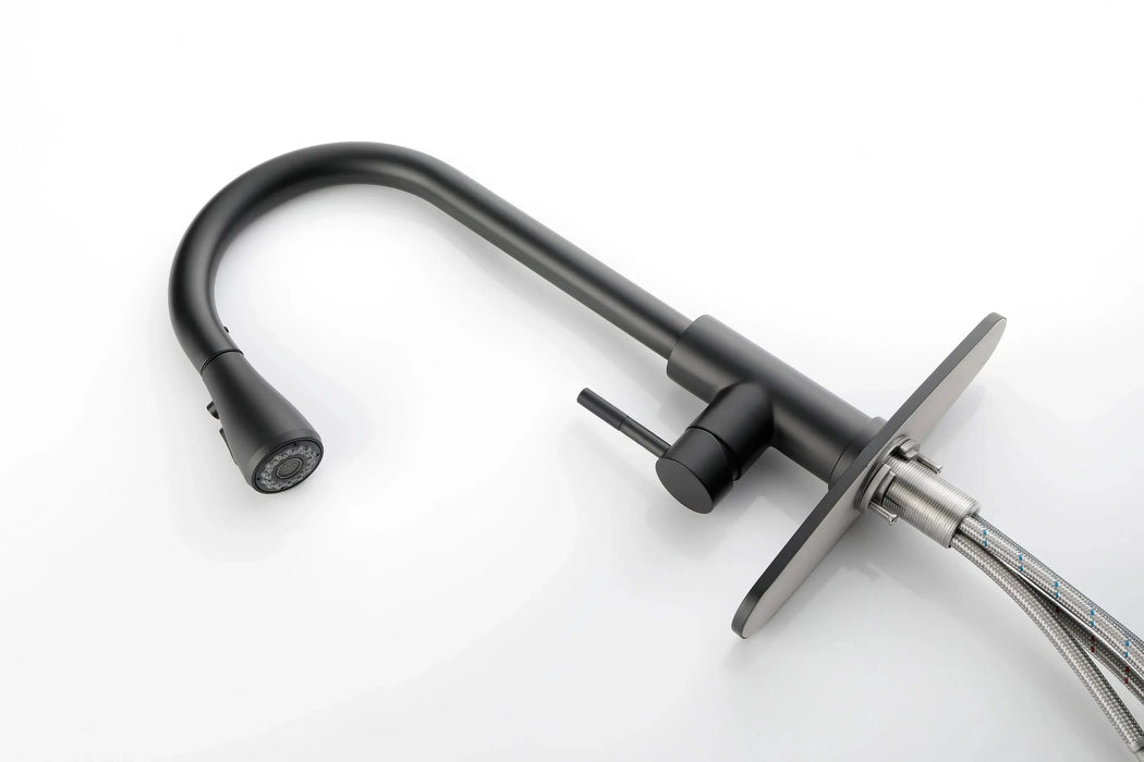 Kitchen Faucet with Pull Out Spraye Default -DTYStore