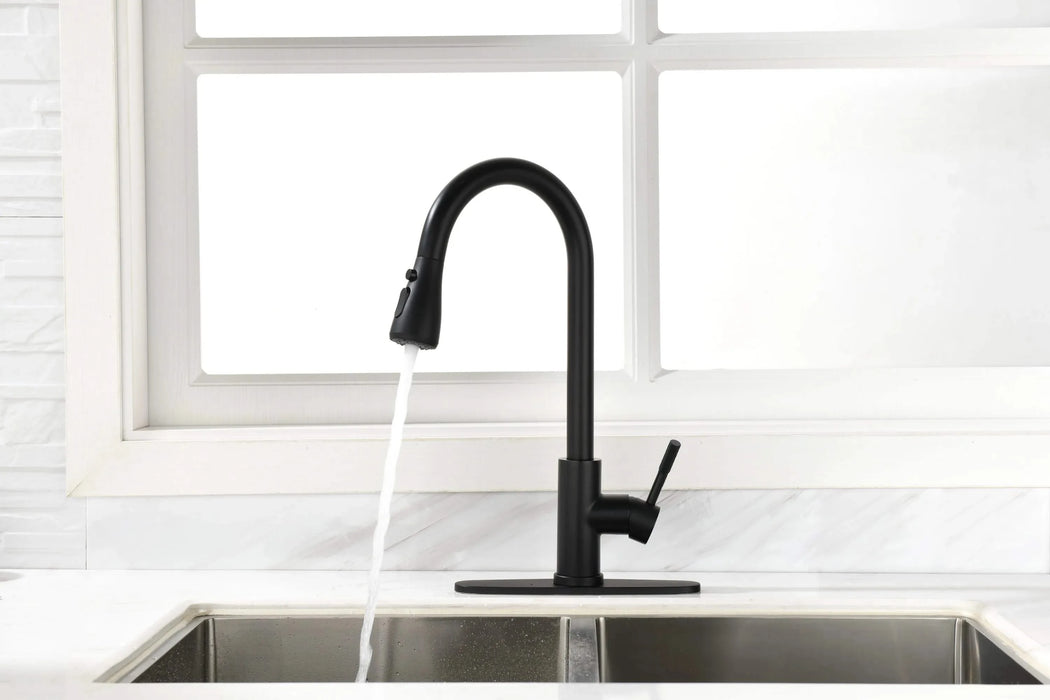 Kitchen Faucet with Pull Out Spraye Default -DTYStore