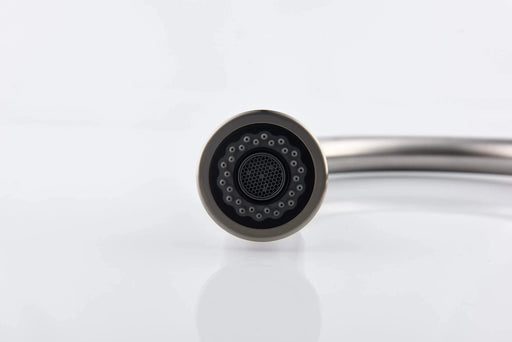 Kitchen Faucet with Pull Out Spraye Default -DTYStore