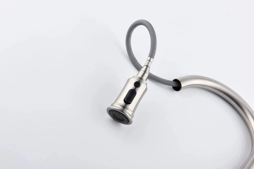 Kitchen Faucet with Pull Out Spraye Default -DTYStore