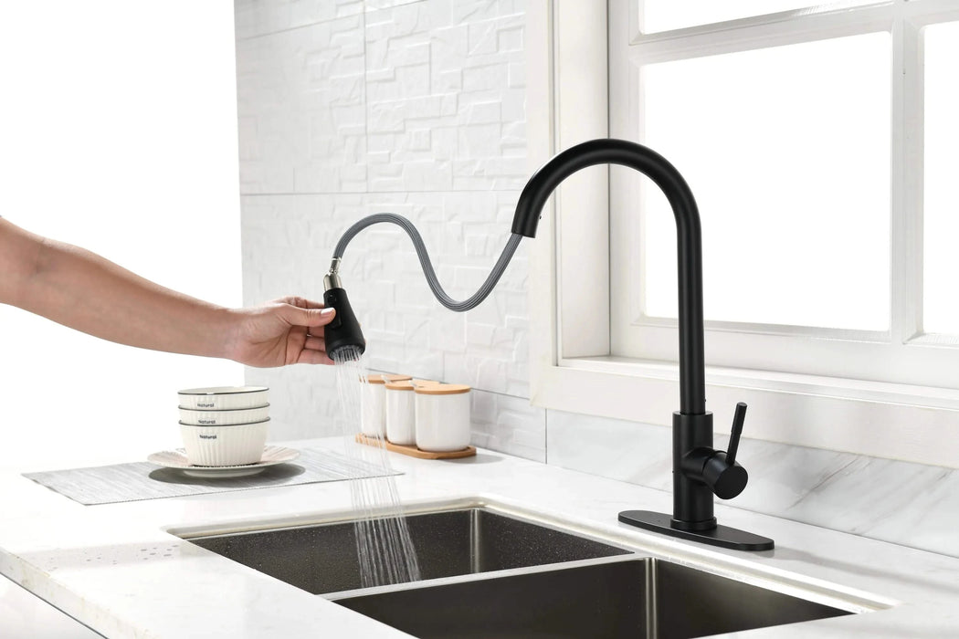 Kitchen Faucet with Pull Out Spraye Default -DTYStore