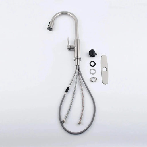 Kitchen Faucet with Pull Out Spraye Default -DTYStore