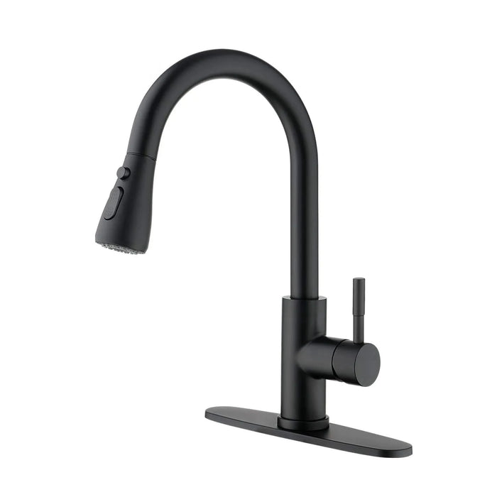 Kitchen Faucet with Pull Out Spraye Default -DTYStore