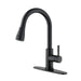Kitchen Faucet with Pull Out Spraye Default -DTYStore