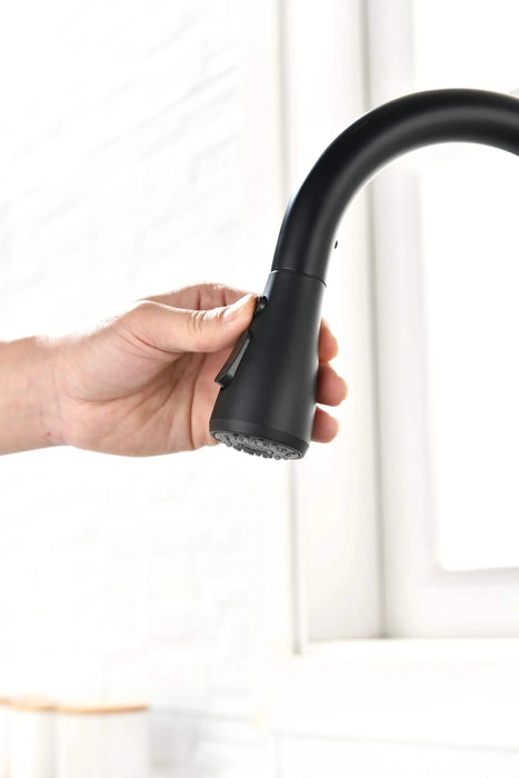 Kitchen Faucet with Pull Out Spraye Default -DTYStore