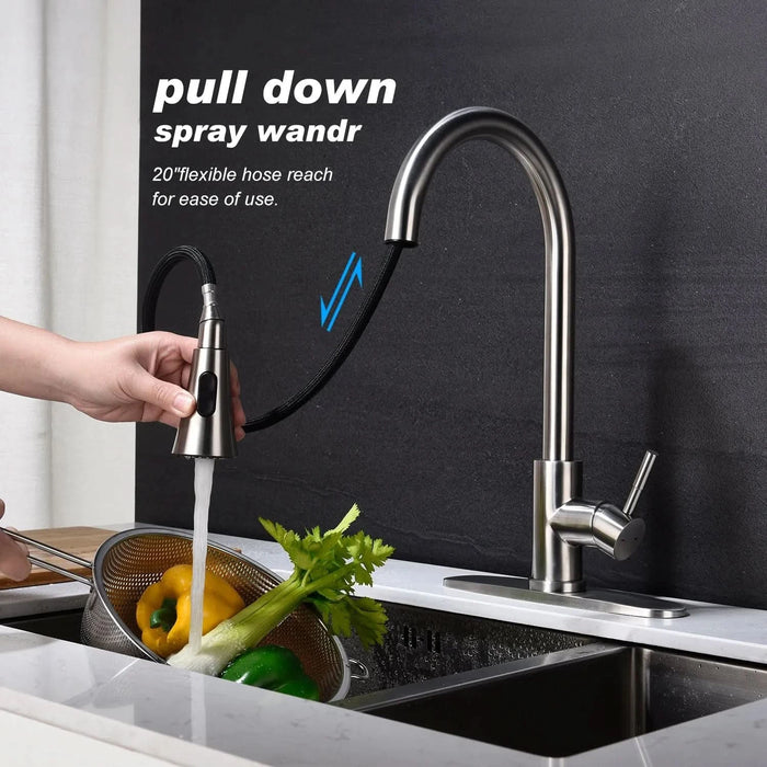 Kitchen Faucet with Pull Out Spraye- DTY Store