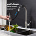 Kitchen Faucet with Pull Out Spraye- DTY Store