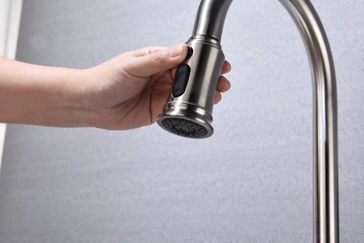 Kitchen Faucet with Pull Out Spraye Default -DTYStore