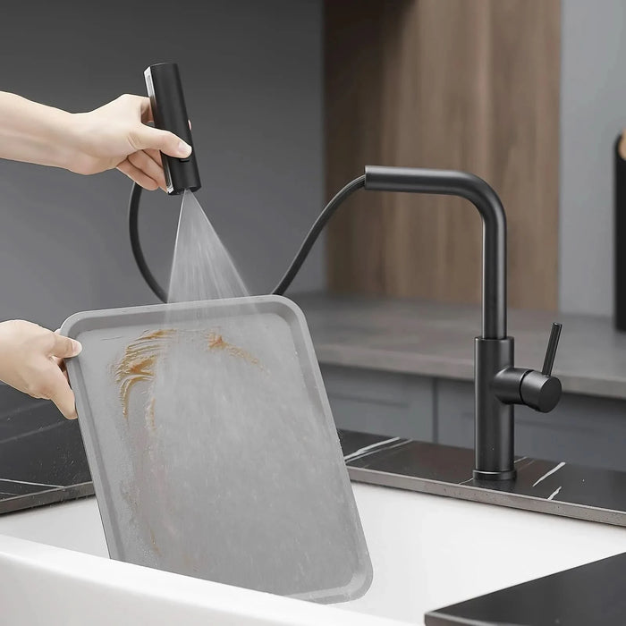 Kitchen Sink Faucet, Black Kitchen Faucets with Pull out Sprayer,Kitchen Bar Faucet Single Hole Faucet - DTY Store
