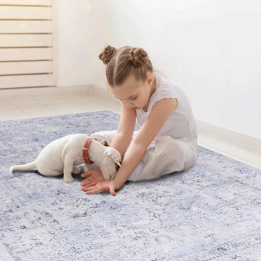 LOOM & LUXE Area Rugs 9x12 Living Room, Machine Washable Area Rugs, Low-Pile, Non-Slip, Non-Shedding, Foldable, Kid&Pet Friendly - Area Rugs for living room, bedroom, kitchen (Blue/Cream, 9x12) Default -DTYStore