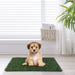 Large Pet Urine Mat - Two Pack Default -DTYStore