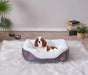 Lina Pet Bed, Anthracite Pet Bed , Small Size 19'' x 13'' Default -DTYStore