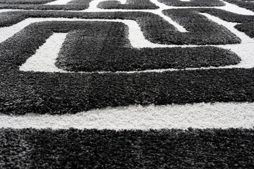 Luna Meara Black and Ivory Recycled Polyester Area Rug Default -DTYStore