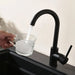 Matte Black Kitchen Faucet Single Handle Stainless Steel,Commercial Single Hole Kitchen Sink Faucet,Modern One Hole Bar Sink Faucet (Matte Black) - DTY Store