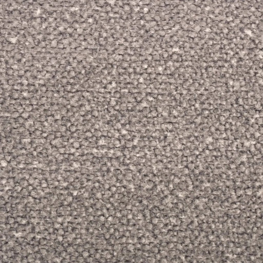 Memory Foam Infused Futon Mattress Full XL – Washable Removable Cover, Heavy-Duty Zipper, Thick Foldable Sofa Bed Cushion for Guest Room, Apartment, Dorm (Frame NOT Included) Default -DTYStore