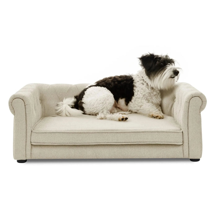 Modern Elegant Rectangle Pet Bed, Durable Elevated Dog Sofa, Beige Foam 40'*23'*14' - DTY Store
