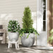DTY Signature Mount Belford 1-piece Fiberstone Planter - DTYStore