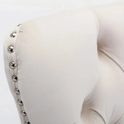 Nikki Collection Modern, High-end Tufted Solid Wood Contemporary Velvet Upholstered Dining Chair with Chrome Stainless Steel Plating Legs,Nailhead Trim,Set of 2，Beige and Chrome, SW1701BG Default -DTYStore