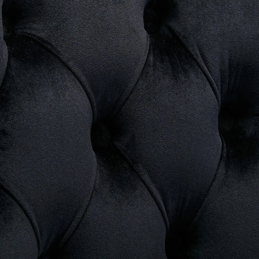 Nikki Collection Modern, High-end Tufted Solid Wood Contemporary Velvet Upholstered Dining Chair with Chrome Stainless Steel Plating Legs,Nailhead Trim,Set of 2,Black and Chrome, SW1701BK Default -DTYStore