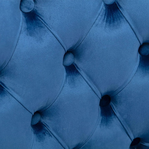 Nikki Collection Modern, High-end Tufted Solid Wood Contemporary Velvet Upholstered Dining Chair with Wood Legs Nailhead Trim 2-Pcs Set,Blue, SW2001BL Default -DTYStore