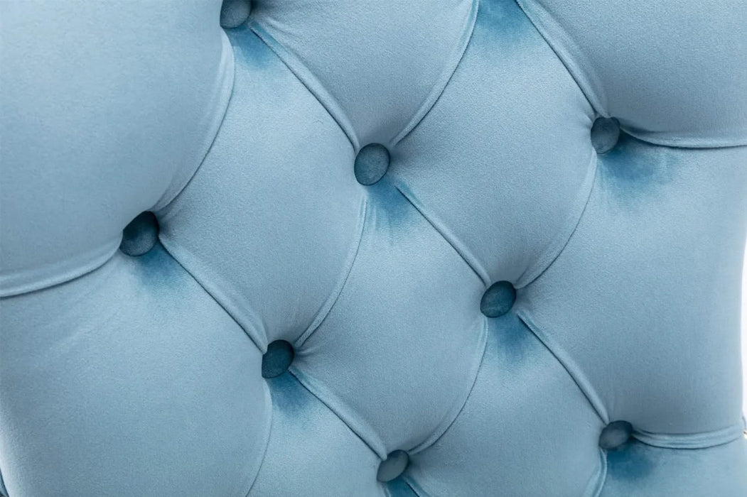 Nikki Collection Modern, High-end Tufted Solid Wood Contemporary Velvet Upholstered Dining Chair with Wood Legs Nailhead Trim 2-Pcs Set,Light Blue, SW2001LB Default -DTYStore