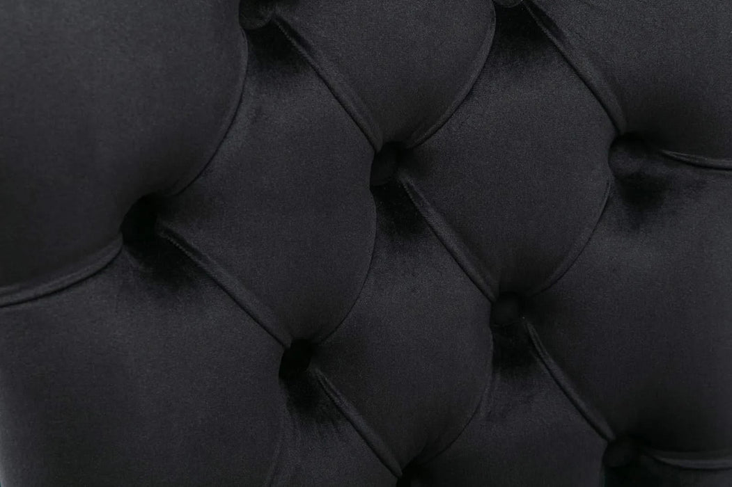 Nikki Collection Modern, High-end Tufted Solid Wood Contemporary Velvet Upholstered Dining Chair with Wood Legs Nailhead Trim 2-Pcs Set, Black, SW2001BK Default -DTYStore