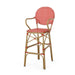 Outdoor Wicker and Aluminum 29.5' French Barstools, Set of 2, Red, Bamboo Print Finish Default -DTYStore