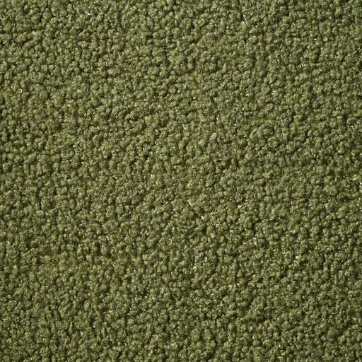 Oversized Accent Chair, Upholstered Living Room Chairs Single Sofa Chair with Walnut Legs, Curved handrail, Green Default -DTYStore