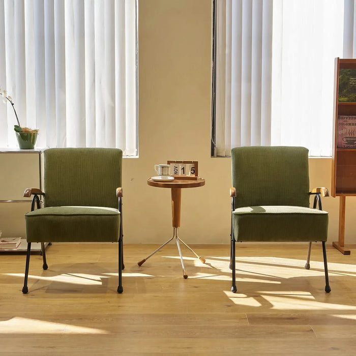 Pattern Colorful Fabric Armchair, Modern Accent Chair High Back, Living Room Chairs with Metal Legs and Soft Padded, Sofa Chairs for Home Office,Bedroom,Dining Room Default -DTYStore