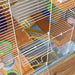 PawHut 18' 5 Tier Hamster Cage with Tubes and Tunnels, Small Animal Cage with Portable Carry Handle, Gerbil Cage with Water Bottle, Food Dish, Exercise Wheel, Light Blue - DTY Store