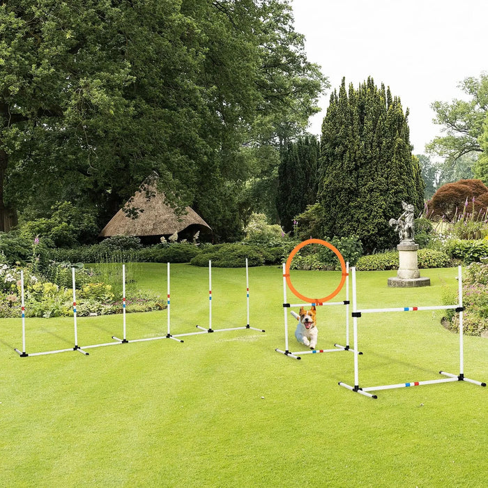 PawHut 3PC Dog Agility Equipment Set, Obstacle Course Exercise for Dog Include Adjustable Hurdle, Hoop, Weave Poles and Carry Bag - DTY Store