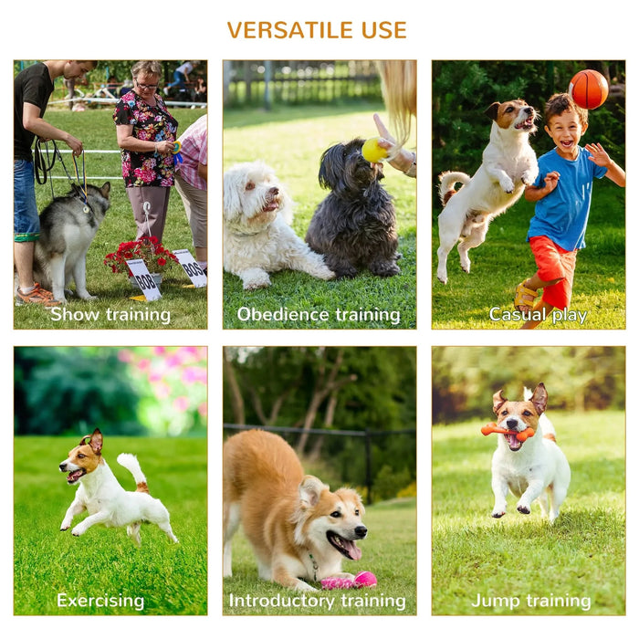 PawHut 3PC Dog Agility Equipment Set, Obstacle Course Exercise for Dog Include Adjustable Hurdle, Hoop, Weave Poles and Carry Bag - DTY Store