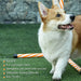 PawHut 6 Piece Dog Agility Training Equipment with Hurdle Bag and Whistle, Orange and White Default -DTYStore