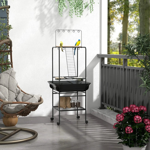 PawHut Bird Stand with Wheels, Parrot Stand with Perches, Stainless Steel Feed Bowls, Pull-Out Tray, Toy Hanger, Bird Play Stand for Indoor Outdoor Small Parrot, Dark Gray Default -DTYStore