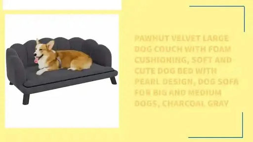 PawHut Velvet Large Dog Couch with Foam Cushioning, Soft and Cute Dog Bed with Pearl Design, Dog Sofa for Big and Medium Dogs, Charcoal Gray -DTYStore