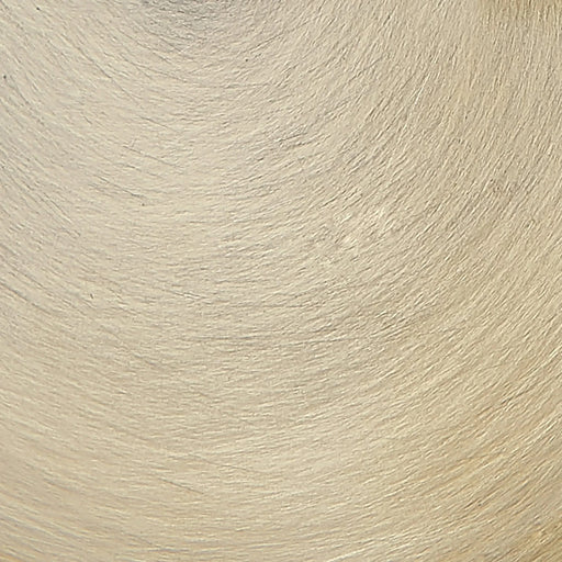 Pedretti Bronze 2-Light Indoor Sconce Default -DTYStore