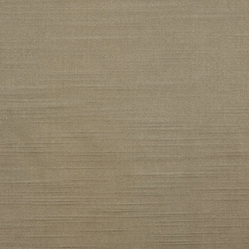 Pleat Curtain Panel with Tieback (Single) Champagne 52x84' Default -DTYStore