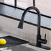 Pull Down Kitchen Faucet with Sprayer Stainless Steel Matte Black - DTY Store