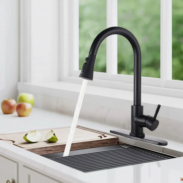 Pull Down Kitchen Faucet with Sprayer Stainless Steel Matte Black - DTY Store