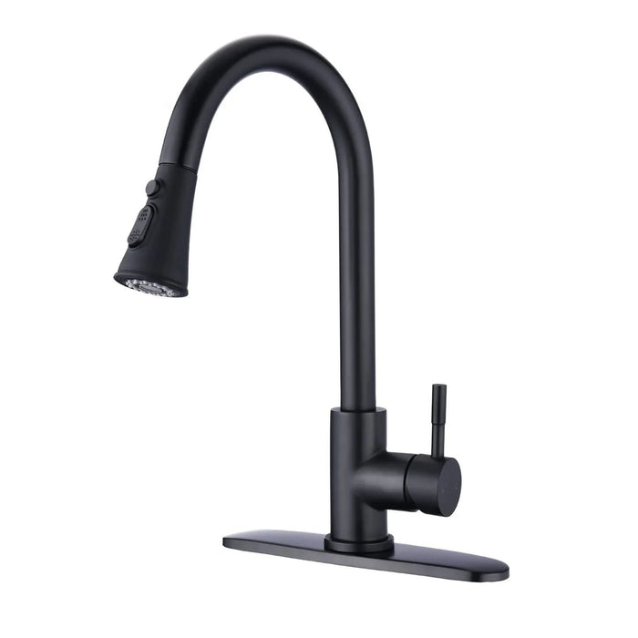 Pull Down Kitchen Faucet with Sprayer Stainless Steel Matte Black - DTY Store