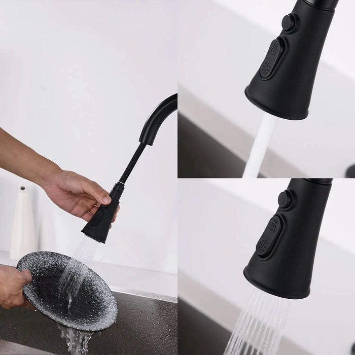 Pull Down Kitchen Faucet with Sprayer Stainless Steel Matte Black - DTY Store