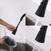 Pull Down Kitchen Faucet with Sprayer Stainless Steel Matte Black - DTY Store