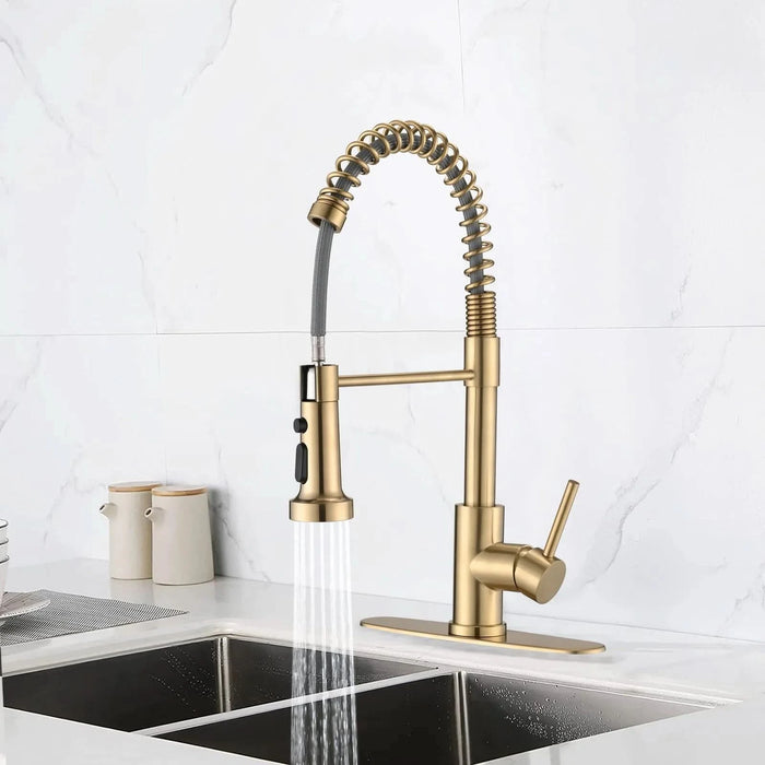 Pull Down Sprayer Spring Kitchen Sink Faucet Brushed Gold - DTY Store