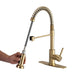 Pull Down Sprayer Spring Kitchen Sink Faucet Brushed Gold - DTY Store