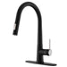 Pull Out Kitchen Faucet Black Kitchen Faucet Single Handle Kitchen faucet - DTY Store