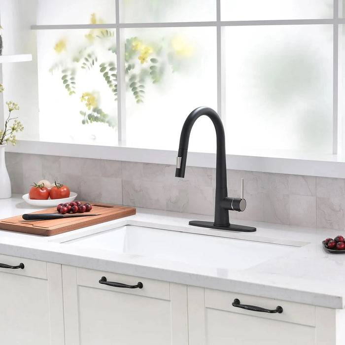 Pull Out Kitchen Faucet Black Kitchen Faucet Single Handle Kitchen faucet - DTY Store