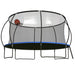 Pumpkin 14 FT Outdoor Trampoline with Basketball Hoop, Enclosure Net, Ladder, Black and Blue, Metal Default -DTYStore