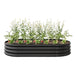 Raised Garden Bed Outdoor, Oval Large Metal Raised Planter Bed for for Plants, Vegetables, and Flowers - Black Default -DTYStore