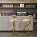 Round Bar Stool Armless Velvet Barstools with Back Set of 2, Gold & Creamy White Default -DTYStore