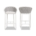 Rowan 27.5' Rope Barrel Low Back Patio Counter Stool, Set of 2, Optic White Acrylic Default -DTYStore